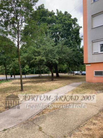 Eladó családi ház, Százhalombattán 55 M Ft