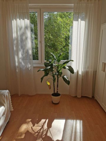 Kiadó panellakás, albérlet, Debrecenben 320 E Ft / hó, 3 szobás