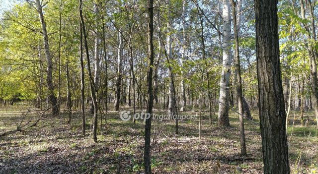 Eladó mezogazdasagi ingatlan, Zsanán 16.99 M Ft