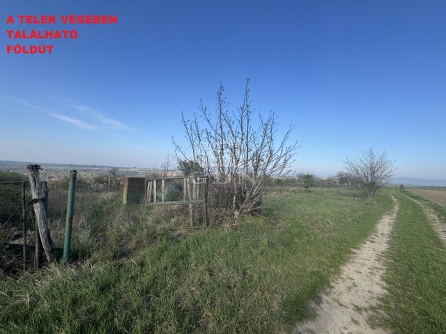 Eladó telek, Vértesacsán 23 M Ft / költözzbe.hu