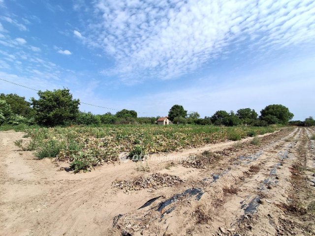 Eladó telek, Nagykőrösön 7.595 M Ft / költözzbe.hu