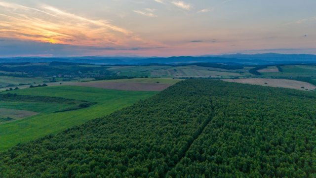 Eladó mezogazdasagi ingatlan, Abodon 99.9 M Ft