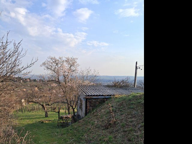 Eladó telek, Pécsett 3.2 M Ft / költözzbe.hu