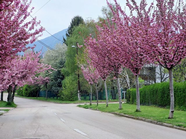 Eladó téglalakás, Balatonfüreden 199 M Ft, 11 szobás