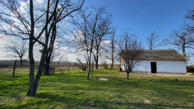 Eladó mezogazdasagi ingatlan, Kiskunfélegyházán 11.5 M Ft