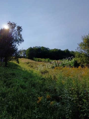 Eladó mezogazdasagi ingatlan, Tornyiszentmiklóson 1.3 M Ft
