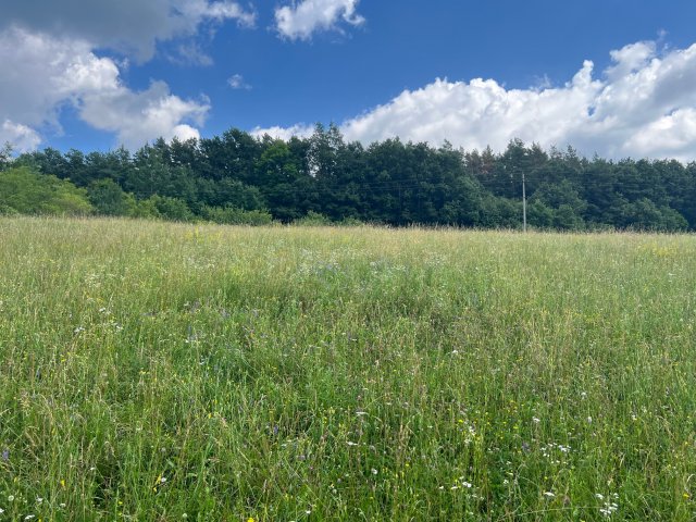 Eladó telek, Szilvásváradon 12.6 M Ft / költözzbe.hu