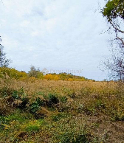 Eladó telek, Röszkén 1.5 M Ft / költözzbe.hu