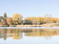 Eladó telek, Szigetcsépen 12.5 M Ft / költözzbe.hu