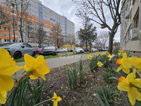 Eladó panellakás, XIV. kerületben 84.9 M Ft, 3+1 szobás