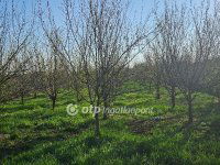 Eladó telek, Szilsárkányon 4.59 M Ft / költözzbe.hu