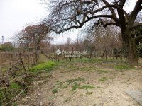 Eladó telek, Velencén 23.9 M Ft / költözzbe.hu