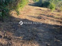 Eladó telek, Esztergomban 10 M Ft / költözzbe.hu