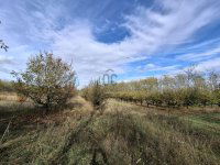 Eladó telek, Dánszentmiklóson 9.7 M Ft / költözzbe.hu