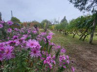 Eladó telek, Mogyoródon 44.9 M Ft / költözzbe.hu