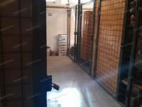 Eladó téglalakás, Kecskeméten 65 M Ft, 1 szobás