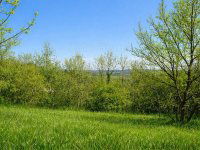 Eladó mezogazdasagi ingatlan, Kehidakustányban 4.99 M Ft