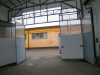 Kiadó ipari ingatlan, Solymáron 375 E Ft / hó