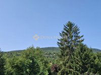 Eladó családi ház, Leányfaluban 285 M Ft, 5 szobás