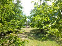 Eladó telek, Székesfehérvárott 44.9 M Ft / költözzbe.hu