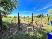 Eladó nyaraló, Monoron 22 M Ft, 1 szobás / költözzbe.hu