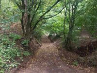 Eladó telek, Visegrádon, Csukavölgy utcában 15 M Ft