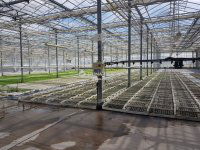 Eladó mezogazdasagi ingatlan, Kecskeméten 550 M Ft