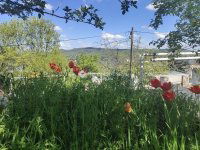 Eladó téglalakás, II. kerületben 158 M Ft, 4 szobás