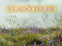 Eladó telek, Sződön 13.9 M Ft / költözzbe.hu