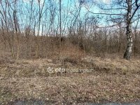 Eladó telek, Tarjánpusztán 1000 M Ft / költözzbe.hu