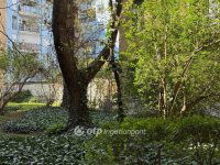 Eladó téglalakás, XIV. kerületben 130 M Ft, 3 szobás