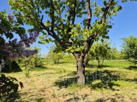 Eladó telek, Pálin 4.73 M Ft / költözzbe.hu