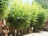 Eladó családi ház, XVIII. kerületben 140 M Ft, 7 szobás