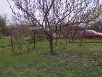 Eladó telek, Szegeden 24.5 M Ft / költözzbe.hu