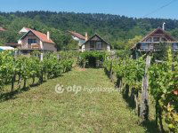 Eladó mezogazdasagi ingatlan, Magyarpolányban 15.5 M Ft