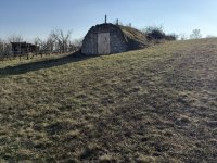 Eladó mezogazdasagi ingatlan, Csákváron 5.5 M Ft