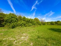 Eladó mezogazdasagi ingatlan, Szentendrén 14.9 M Ft