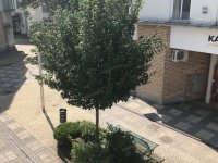 Kiadó téglalakás, albérlet, Kecskeméten 200 E Ft / hó