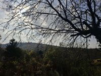 Eladó telek, Biatorbágyon 54.9 M Ft / költözzbe.hu