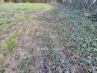 Eladó telek, Szentesen 15 M Ft / költözzbe.hu