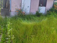 Eladó nyaraló, Miskolcon 8 M Ft, 1+2 szobás