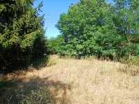 Eladó telek, Bakonytamásin 6.5 M Ft / költözzbe.hu