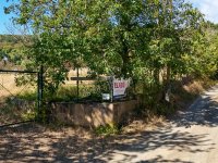 Eladó telek, Nagymaroson, Pállya Celesztin utcában 65 M Ft