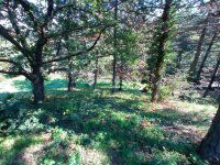 Eladó telek, Velencén 37 M Ft / költözzbe.hu