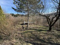Eladó telek, Budakeszin 26 M Ft / költözzbe.hu