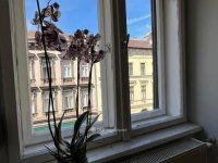 Eladó téglalakás, VII. kerületben 103.5 M Ft, 3 szobás