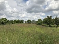 Eladó telek, Székesfehérvárott 53 M Ft / költözzbe.hu