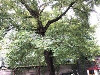 Eladó téglalakás, XIII. kerületben 89 M Ft, 2 szobás