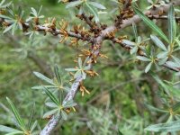 Eladó családi ház, Szentkatalinon 20.999 M Ft, 3 szobás