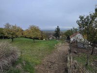 Eladó telek, Szerencsen 10 M Ft / költözzbe.hu